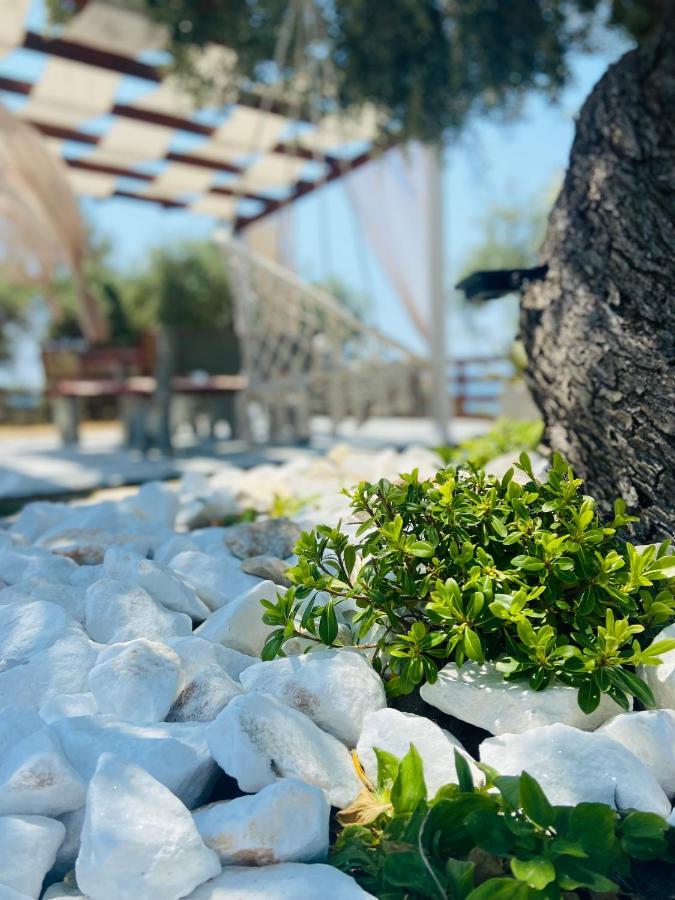 Dream House Aliki (Thasos)